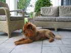 alion_small.jpg